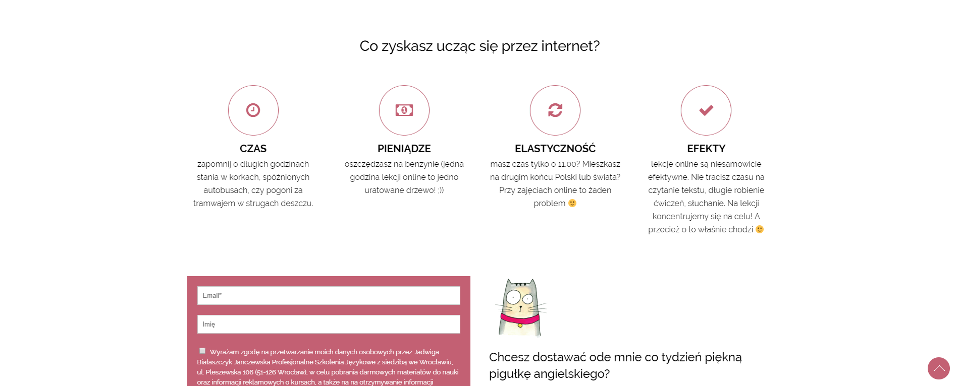 Home ChitChat Cat Angielski Online (3)