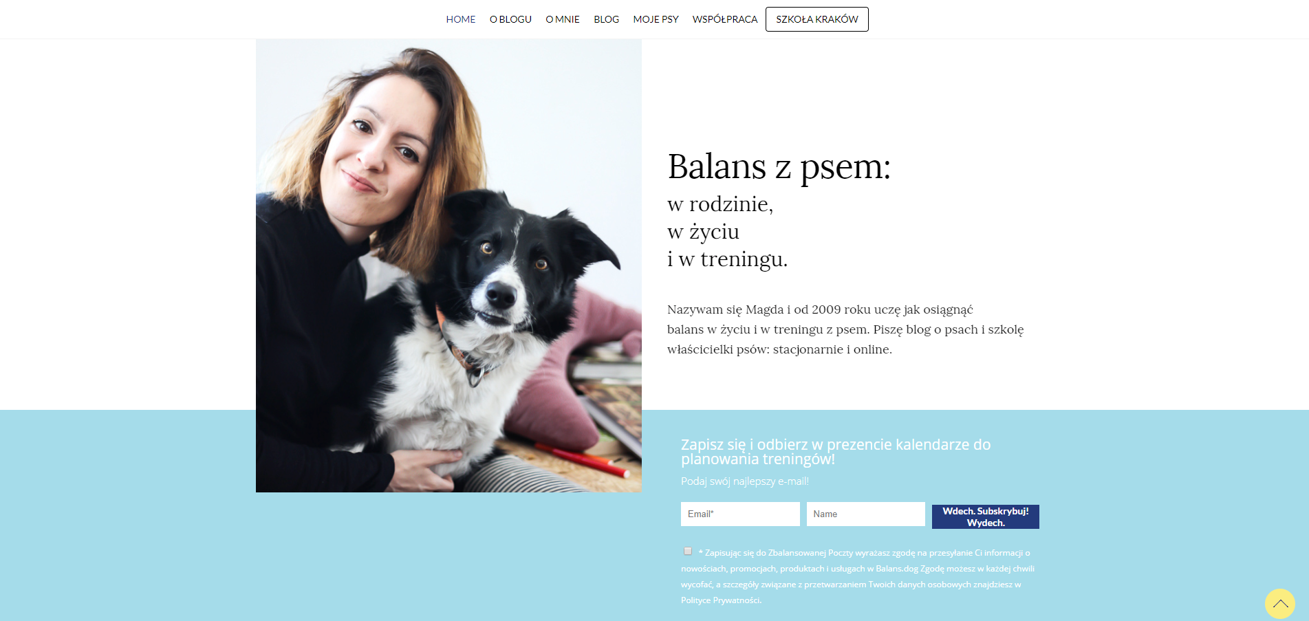 Home Balans dog (6)
