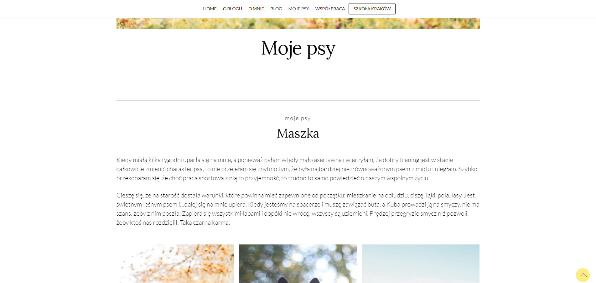 Moje psy Balans dog